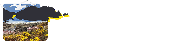 Logo Ty Mam Goz